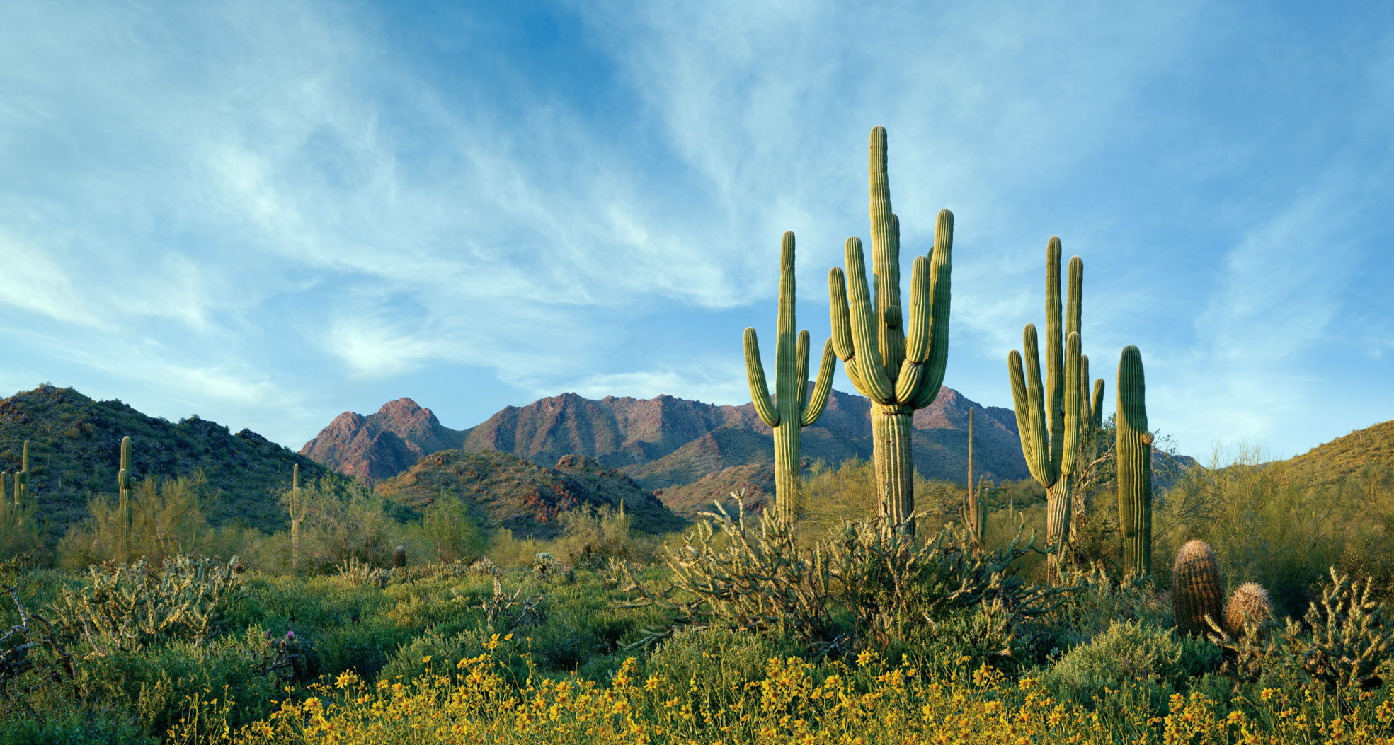 McDowell Sonoran Desert Preserve